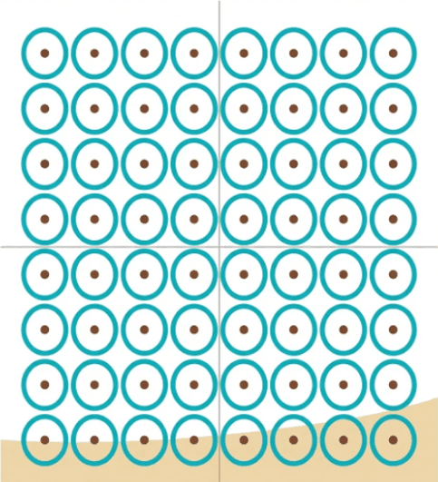 Type 2. スキンリセットプラス